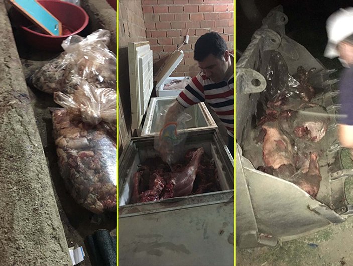 Aydın'da satışa hazır 5 ton domuz eti ele geçirildi