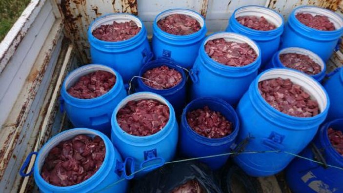 Aydın'da domuz eti deposu ortaya çıkarıldı