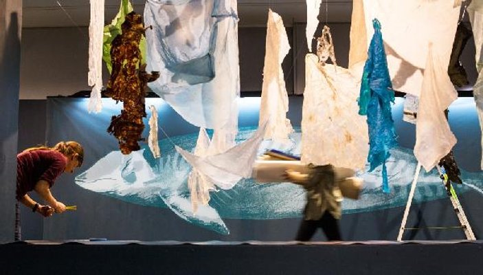Balinanın karnından çıkan plastik torbalar müzede