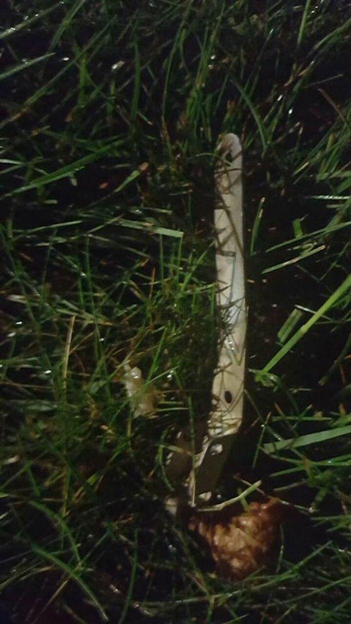 Ukrayna'da ABD Büyükelçiliğine bombalı saldırı