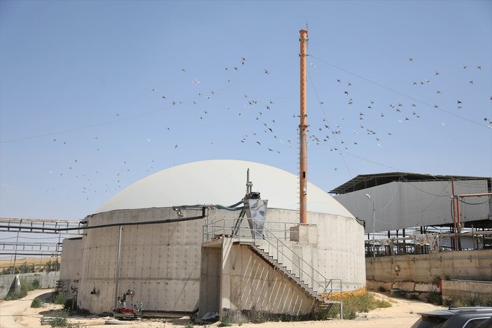 Filistin'de elektrik üreten süt fabrikası