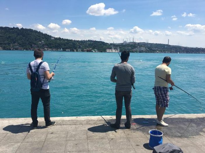İstanbul Boğazı turkuaza boyandı