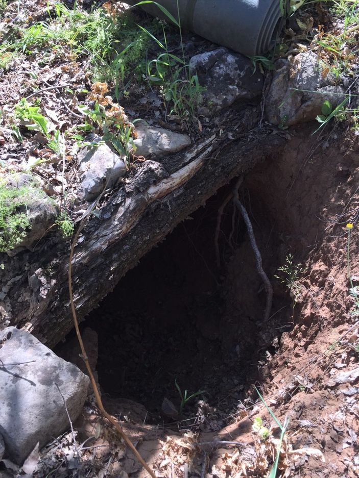 Diyarbakır'da PKK'ya üst üste darbeler