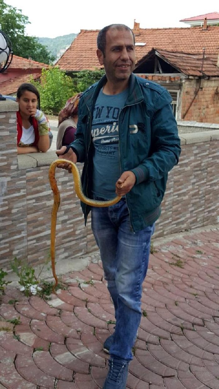 Bartın'da otomobile giren yılan çıkarıldı