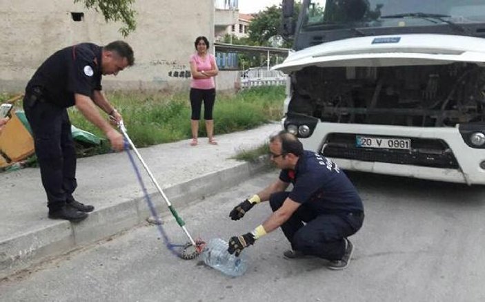 Denizli'de sel suları yılanları kent merkezine taşıdı