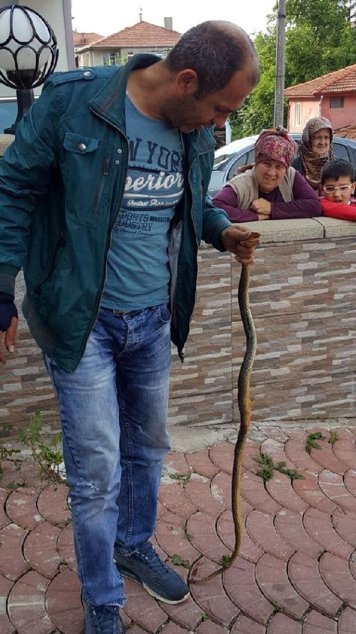 Bartın'da otomobile giren yılan çıkarıldı
