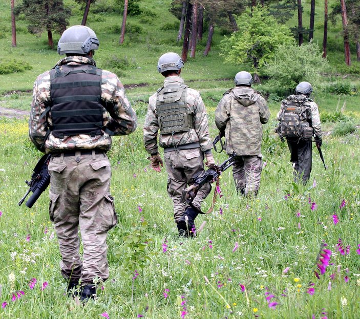 Erzurum ve Hakkari'de terör operasyonu
