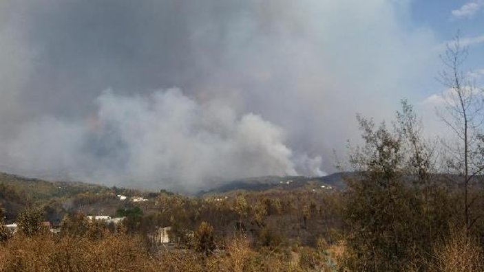 Portekiz’deki yangın 3 gündür devam ediyor