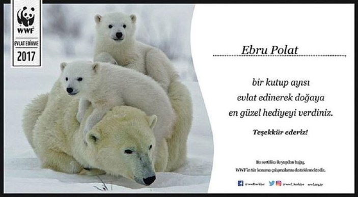Ebru Polat kutup ayısını evlat edindi