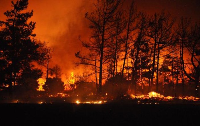 Muğla Datça'da orman yangını
