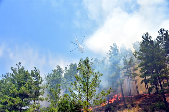 Alanya'da orman yangını