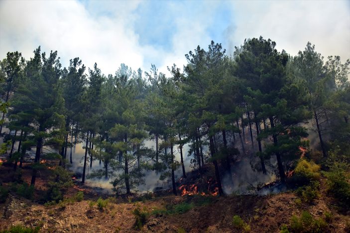 Alanya'da orman yangını