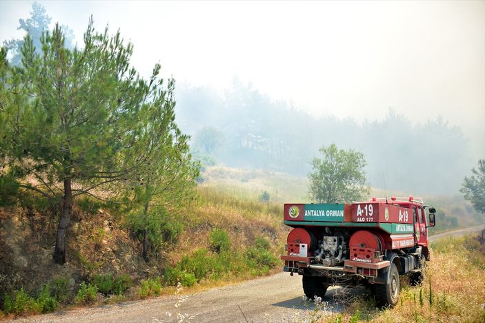 Alanya'da orman yangını