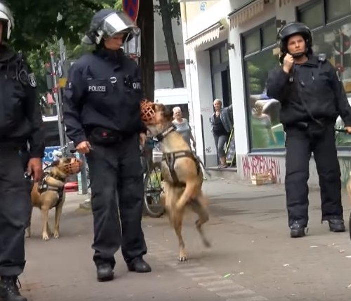 Almanya'da göstericilere sert polis müdahalesi