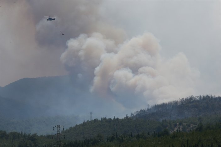 Alanya ve İzmir'de orman yangını