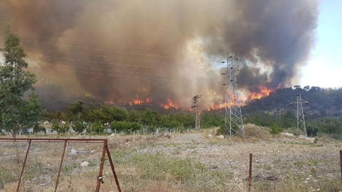 Alanya ve İzmir'de orman yangını