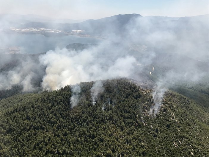 İzmir'deki yangın 2 noktada sürüyor
