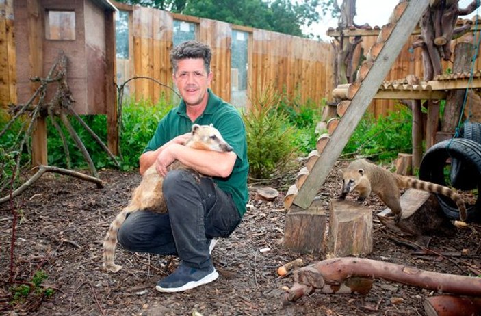 Avustralyalı adamın domuz aşkı hayvanat bahçesi açtırdı