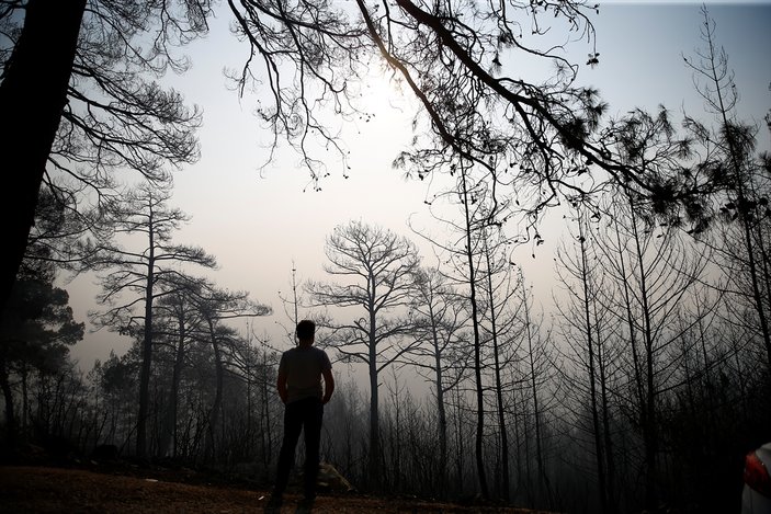 Yurt genelinde çıkan orman yangınlarında son durum