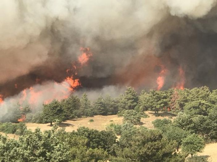 Yurt genelinde çıkan orman yangınlarında son durum