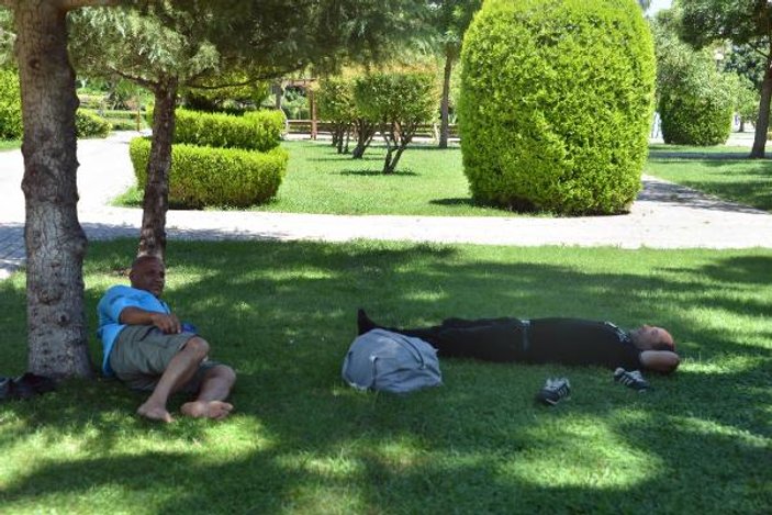 Hatay ve Adana'da sıcaklık rekoru kırıldı