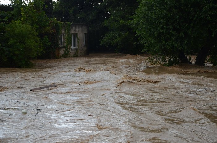 Yalova'da şiddetli yağış sele neden oldu