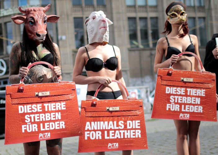 Berlin'de hayvanları koruma aktivistleri soyundu