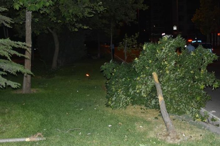 Konya'da kontrolden çıkan motosiklet ağaca çarptı: 1 ölü