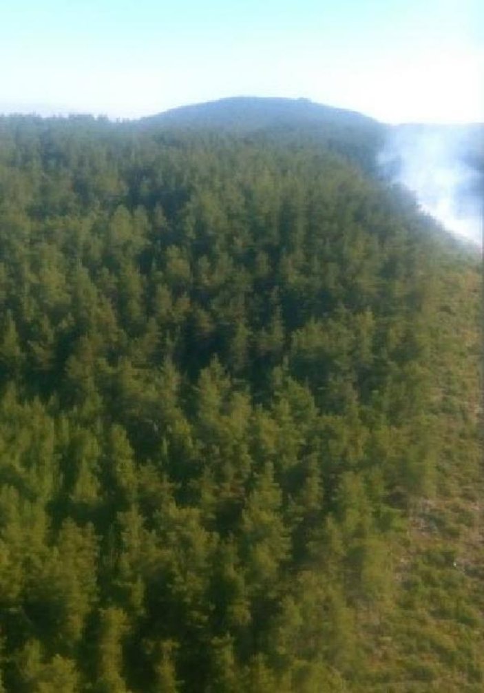 Muğla'da 1 dönüm orman yandı