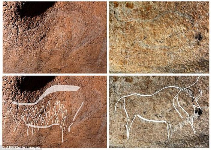 İspanya'da 14 bin yıllık hayvan resimleri bulundu