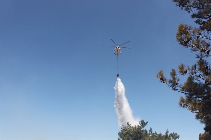 Çanakkale'de tarım arazisinde yangın