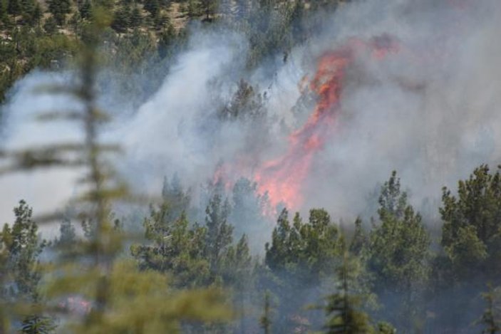 Konya'da orman yangını