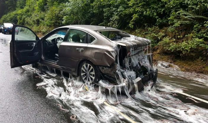 Yılan balığı yüklü kamyon otobanda devrildi