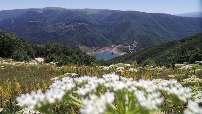 Karadeniz - Akdeniz yolunun manzarası hayran bırakıyor