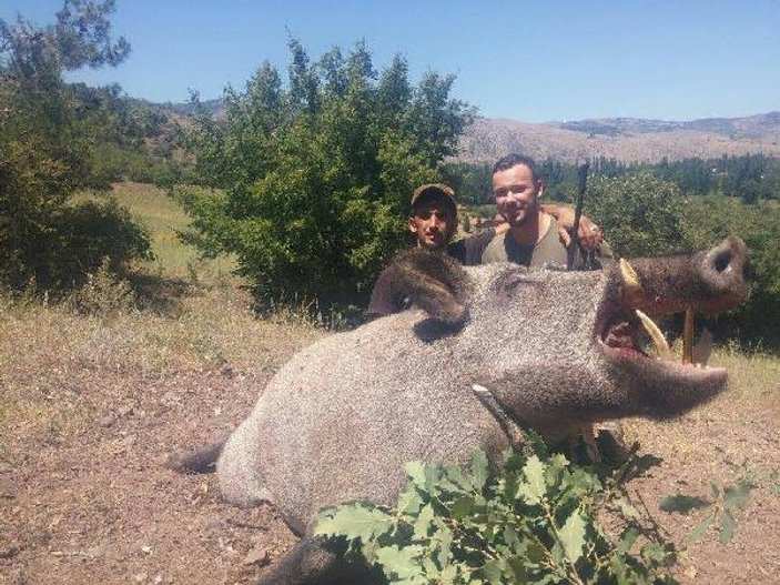 Lüksemburglular Tokat'ta dev yaban domuzu avladı