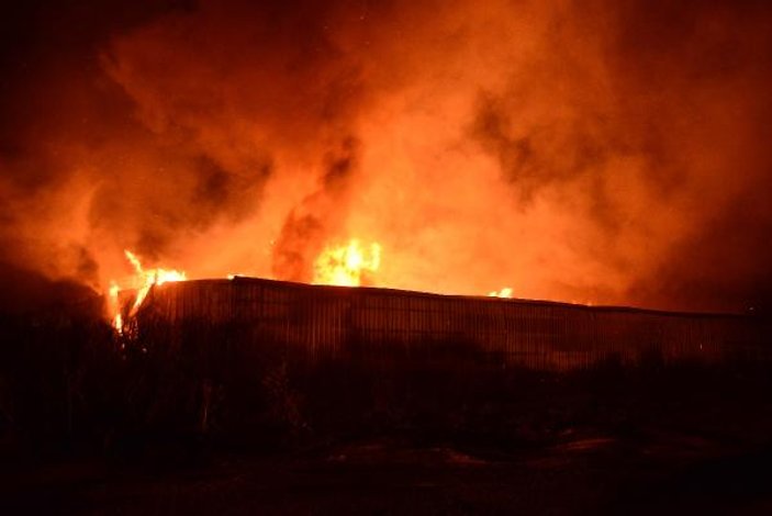 Adana'da mobilya fabrikasında yangın