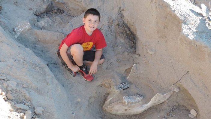 Ayağı takılıp düşünce 1 milyon yaşında fosil buldu