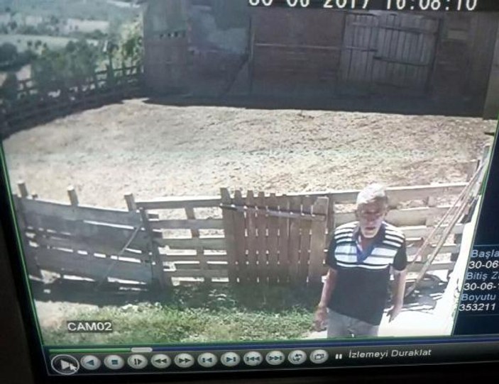 Tekirdağ'da hayvan hırsızları kameraya yakalandı