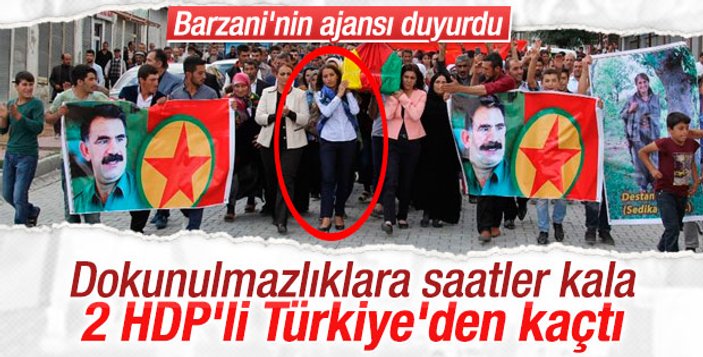 HDP'li Sarıyıldız ve Öztürk'ün 26 suç dosyası var