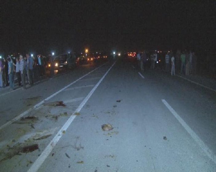 Konya'da sürüye kamyonet çarptı: 40 koyun telef oldu