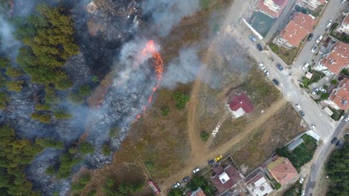 Sinop’ta orman yangını: 10 hektar yandı