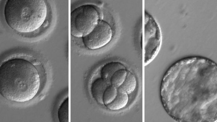 Hastalıklara genetik tedavi yolu açıldı