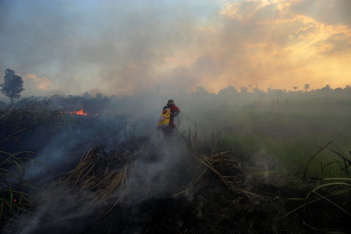 Endonezya'da kasıtlı orman yakanlar için 