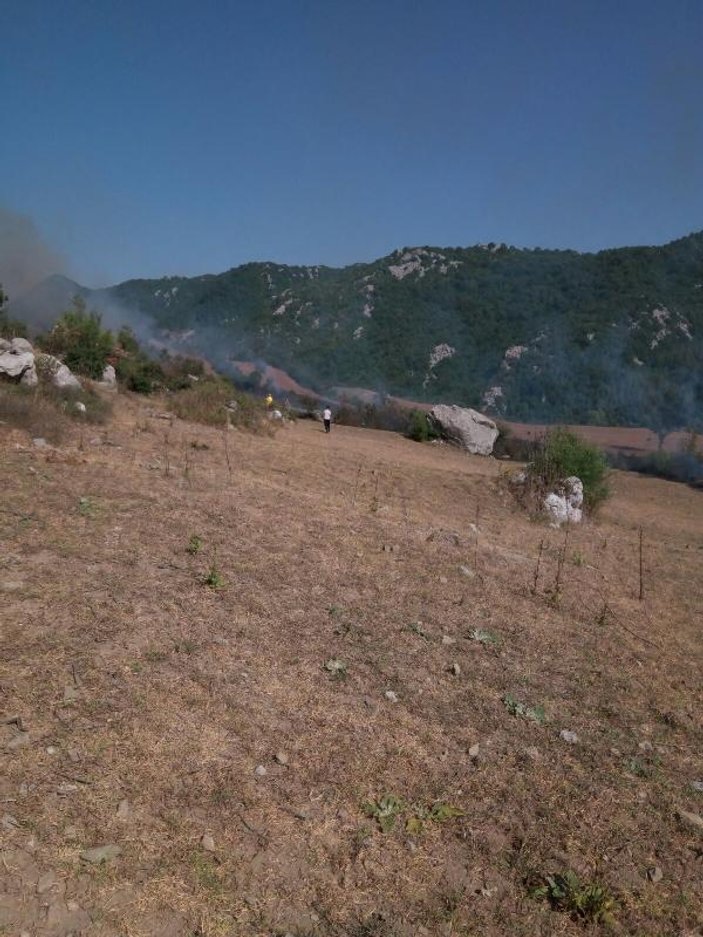 Anız yangını 4 hektar ormanı yaktı