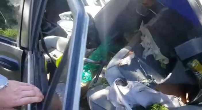 Mesire alanında otomobile ayı saldırısı iddiası