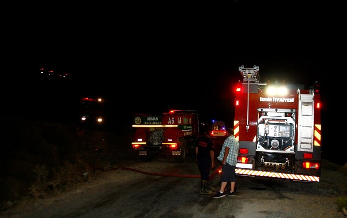 İzmir'de makilik alanda yangın