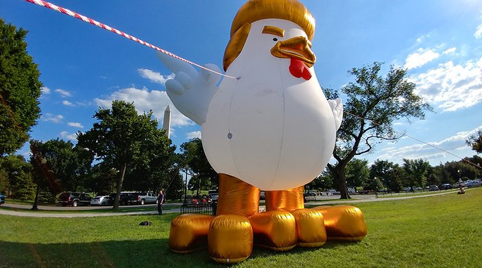 Beyaz Saray'ın bahçesinde dev 'Trump Tavuk' balonu