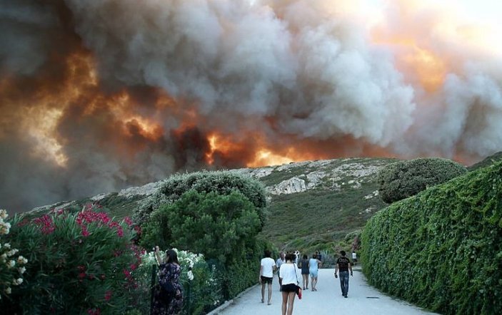 Fransa'da orman yangını etkili oldu