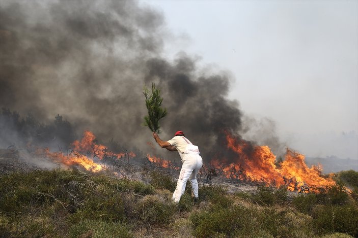 Yunanistan'ın Attika bölgesinde yangın