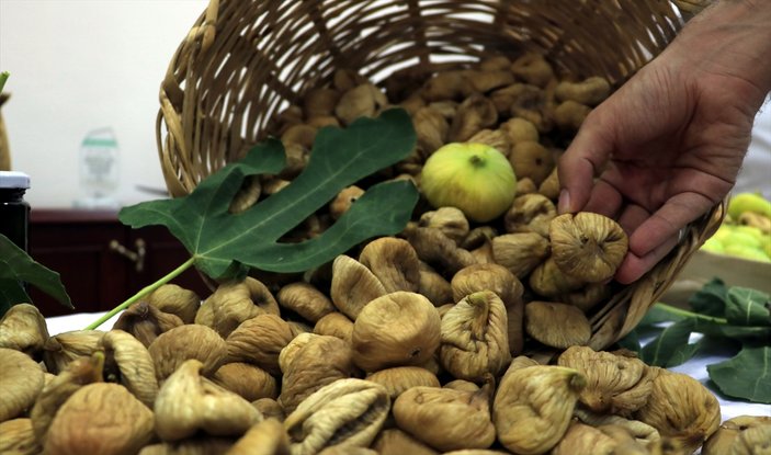 Aydın'da sezonun ilk inciri 70 lira
